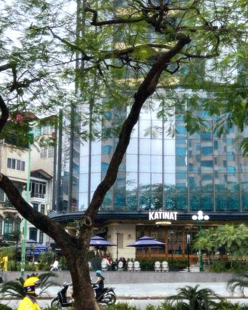 Nhìn Katinat lại nhớ đường Pasteur