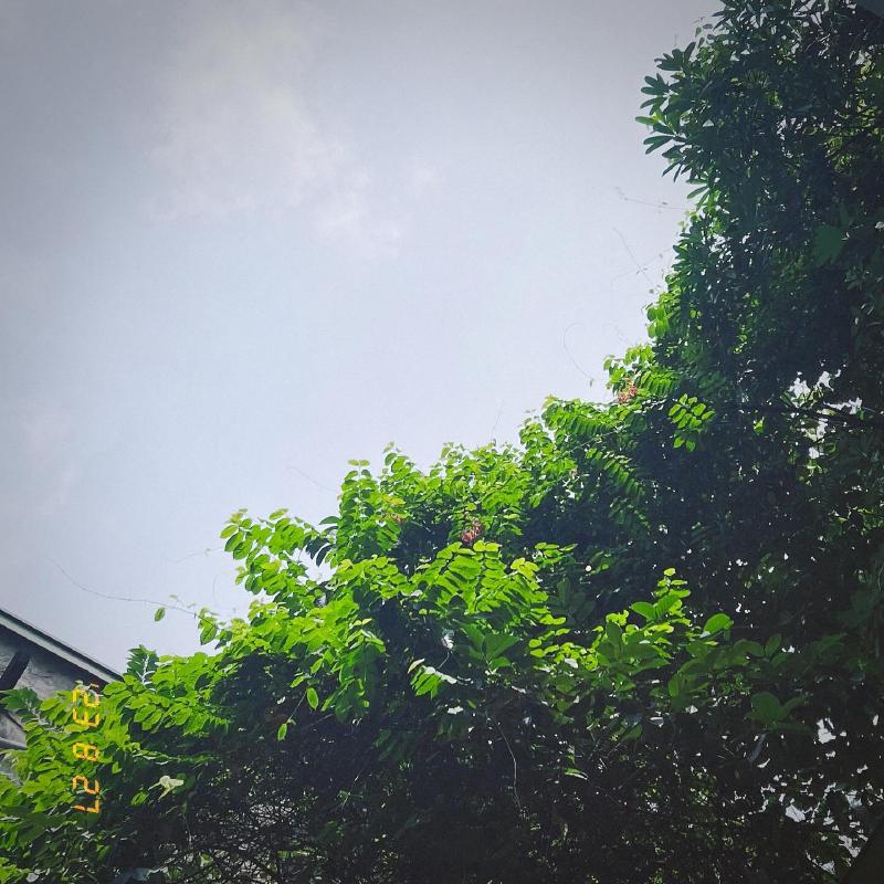 If it could have happened any other way it would have