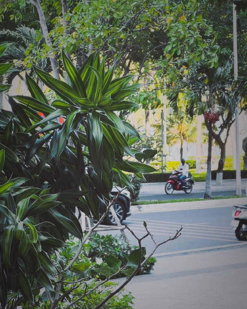 And if you have a minute, why don't we go Talk about it somewhere only we know? This could be the end of everything So, why don't we go somewhere only we know? Somewhere only we know