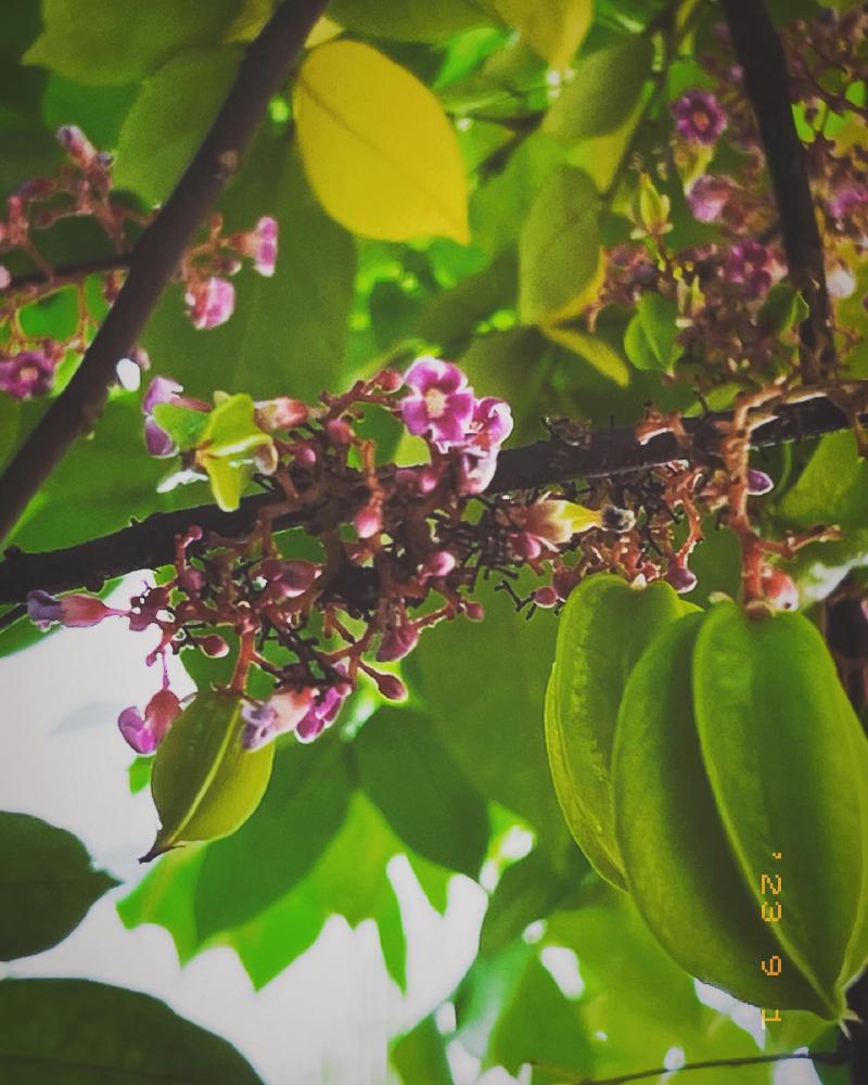 Summer has come and passed The innocent can never last Wake me up when September ends...