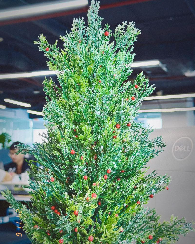 You better watch out You better not cry You better not pout I'm telling you why Santa Claus is coming to town