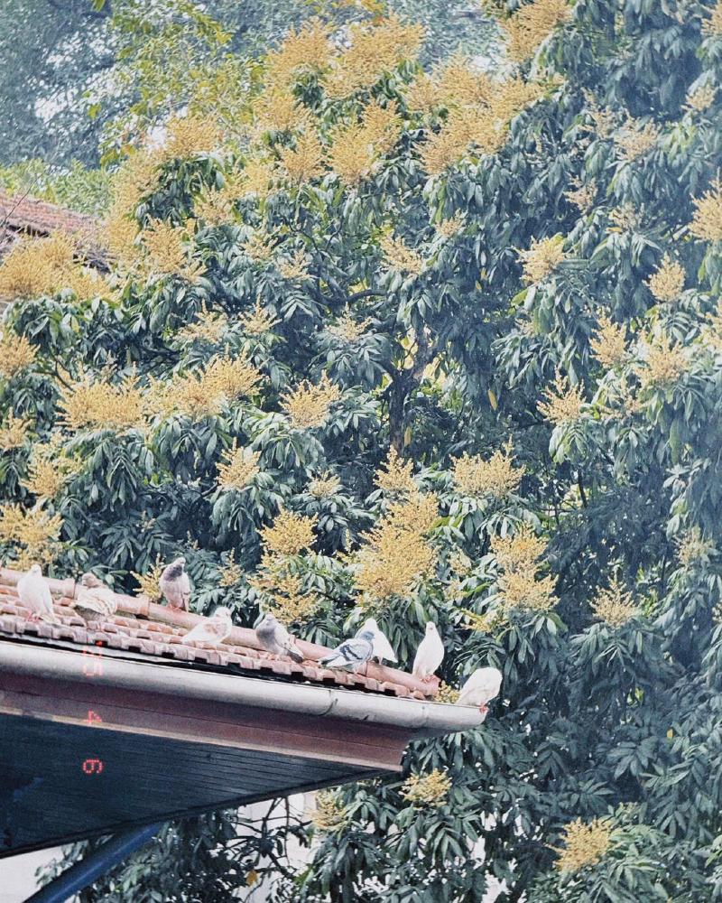 Quay đi quay lại 09/04 rồi, đang tự do bay nhảy cơ mà, trầm cảm quá...