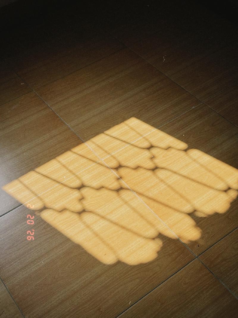 Bóng nắng qua ô cửa sổ trước phòng. Căn nhà đang ở xây đâu đó tầm 15 năm trước nhưng có những thứ có khi tuổi của nó còn hơn tuổi của mình, như khung cửa sổ này được mang từ căn nhà cũ trước khi đập đi xây lại căn này. Vẫn nhớ hồi nhỏ xíu vẫn leo trèo rồi đu mình trên cái khung cửa này, rồi đến mùa mưa bão lại lấy dây buộc chặt cái cửa sổ gỗ vào khung cửa để nó không rung lên trong gió bão.  Cửa ra trên ban công cũng chính là cái cửa ra vào chính của căn nhà cũ, chắc cũng phải từ những năm 80. Cánh cổng hiện tại thì lại là cánh cửa của nhà người bác ở phố Hàng Tiện ngày xưa. Bỗng dưng thấy mình già ghê gớm :)