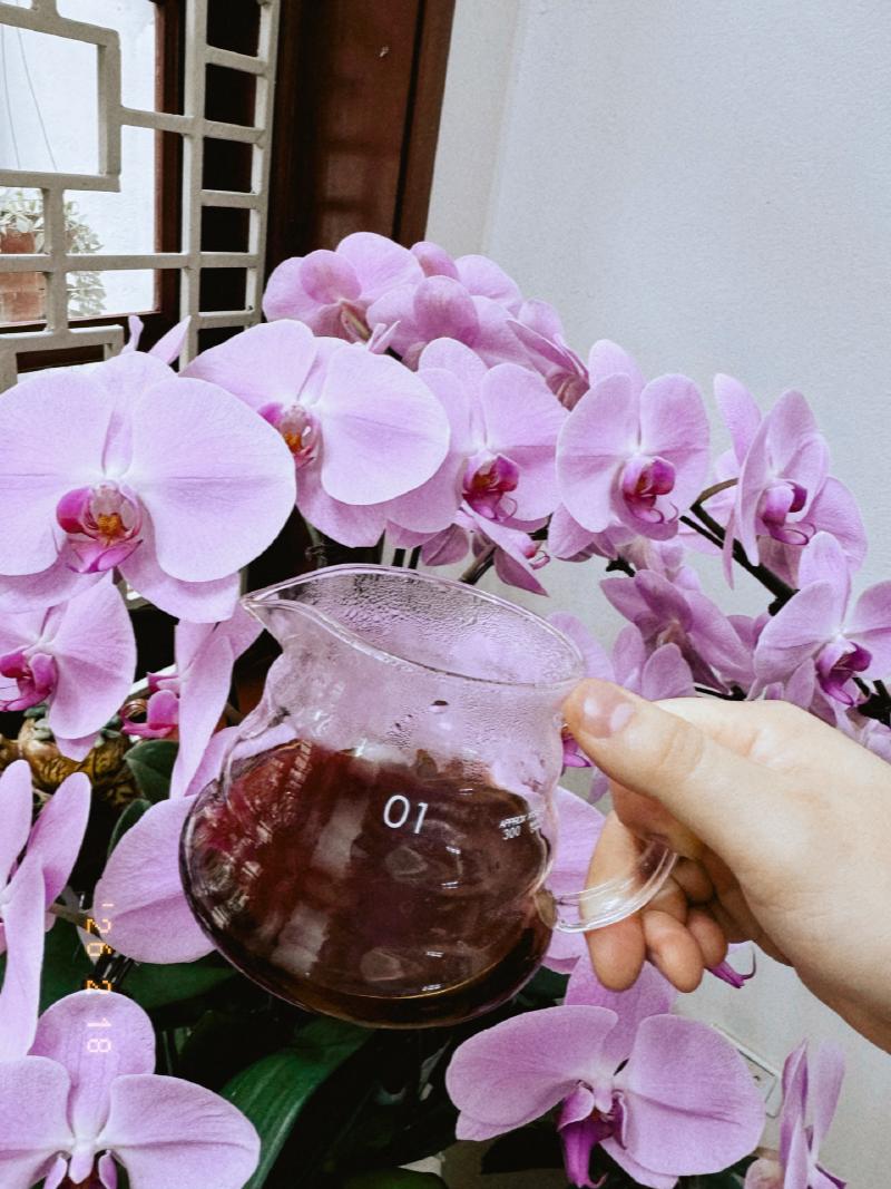 Đêm qua đọc được bài về flat bottom filter nên sáng lôi ngay em Minos Cupcake ra thử, có vẻ cũng hiệu quả thật =]] Ethiopia Shantawene Anaerobic Natural cũng lại từ nhà Aokka. Ngọt dã man, hậu vị ngọt kéo siêu dài, càng nguội thì hương hoa quả bớt dần nhưng vẫn ngọt, hơi hướng rượu vang.